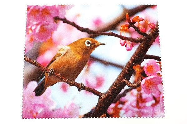 NP00116 - Microfiber cloth Japanese White-eye in ind. pack (p.108)