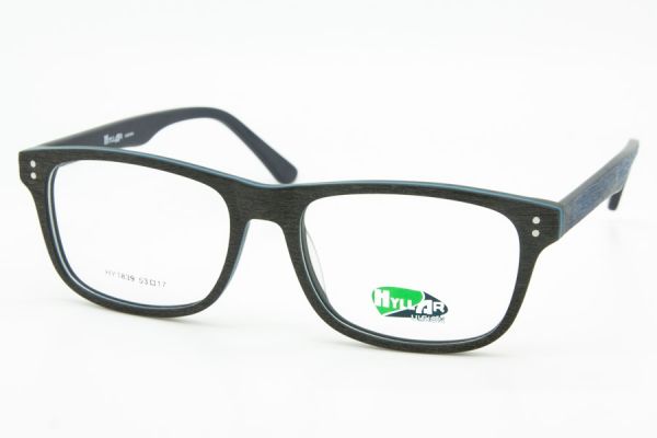 HY01839-4 - HyllAr Vision glasses frame